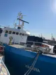 Nave reefer in vendita