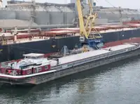 Trasportatore di merci sfuse in vendita