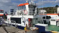 Chiatta in vendita
