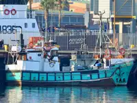 Purse seiner in vendita