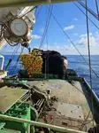 Purse seiner in vendita