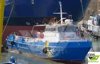 Barche da lavoro in vendita