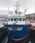 Imbarcazioni da lavoro in vendita