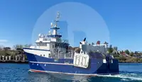 Peschereccio a strascico a trave in vendita