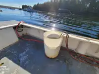Nave per la lavorazione del pesce in vendita