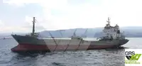 Trasportatore di merci sfuse in vendita