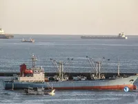 Nave refrigerata in vendita
