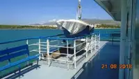 Ro-Ro ship in vendita