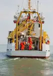 Portacontainer in vendita