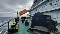 Trasportatore di merci sfuse in vendita
