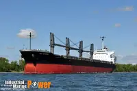 Trasportatore di merci sfuse in vendita
