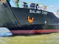 Nave reefer in vendita