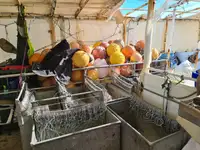 Peschereccio a palangaro in vendita