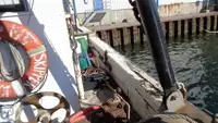 Peschereccio a strascico in vendita