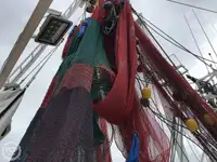 Peschereccio a strascico in vendita