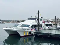 Nave passeggeri in vendita