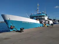 Trawler in vendita