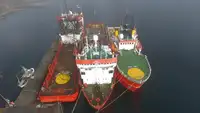 Piattaforma di approvvigionamento (PSV) in vendita