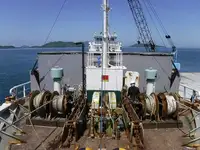 Trasportatore di merci sfuse in vendita