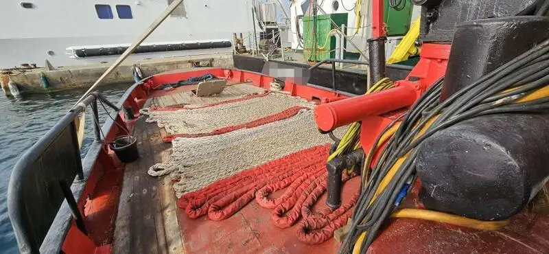 Rimorchiatore in vendita