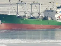 Nave refrigerata in vendita