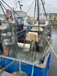 Portatore di pesci vivi in vendita