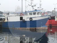 Trasportatore di pesce vivo in vendita