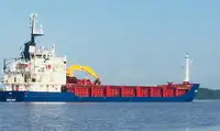 Trasportatore di merci sfuse in vendita