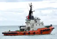 Rimorchiatore in vendita