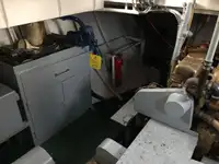 Chiatta in vendita