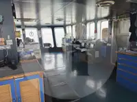 Trasportatore di merci sfuse in vendita