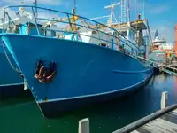 Trawler in vendita