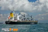 Trasportatore di merci sfuse in vendita