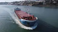 Trasportatore di merci sfuse in vendita