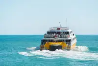 Catamarano in vendita