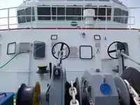 Trasportatore di merci sfuse in vendita