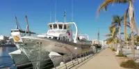 Nave traghetto in vendita