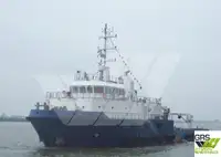 Barche da lavoro in vendita