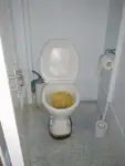 Peschereccio a palangaro in vendita