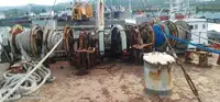 Trasportatore di merci sfuse in vendita