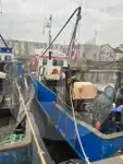 Portatore di pesci vivi in vendita