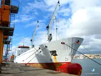 Nave reefer in vendita
