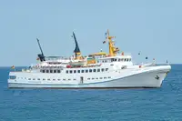Nave da crociera in vendita