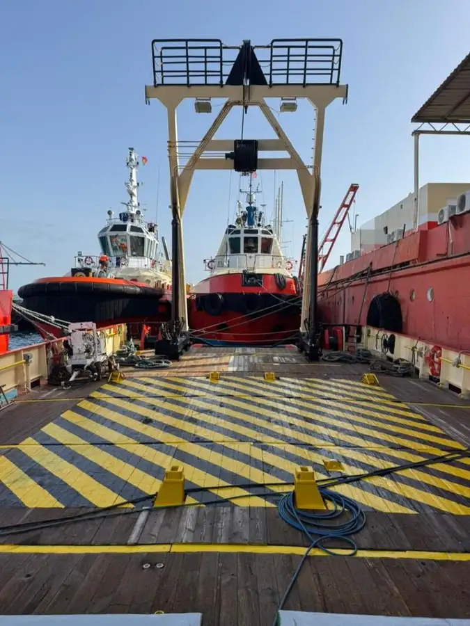 Portacontainer in vendita