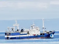 Peschereccio a strascico in vendita