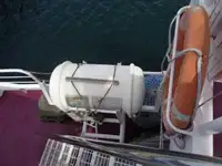 Trasportatore di merci sfuse in vendita