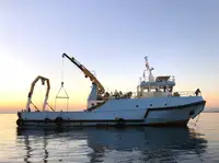Barche da lavoro in vendita