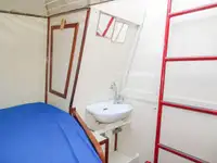 Trasportatore di merci sfuse in vendita