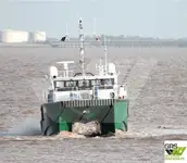 Nave di servizio per parchi eolici in vendita