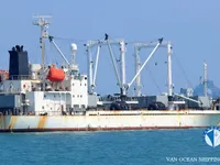 Nave refrigerata in vendita